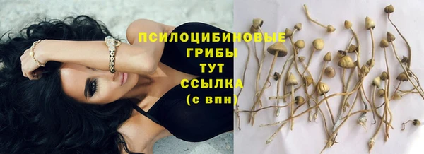 стафф Балабаново