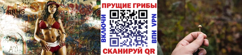 Псилоцибиновые грибы Psilocybe Куса